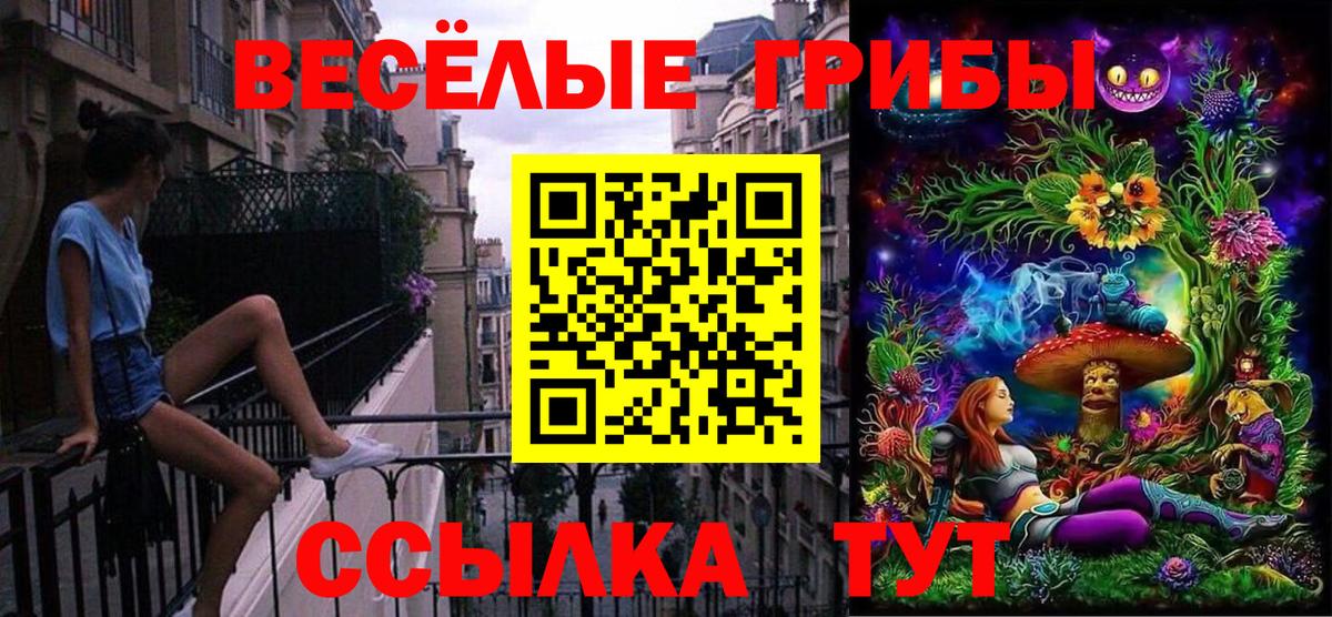 Галлюциногенные грибы прущие грибы  Псилоцибиновые грибы Psilocybine cubensis  Южноуральск  Вход с VPN 
