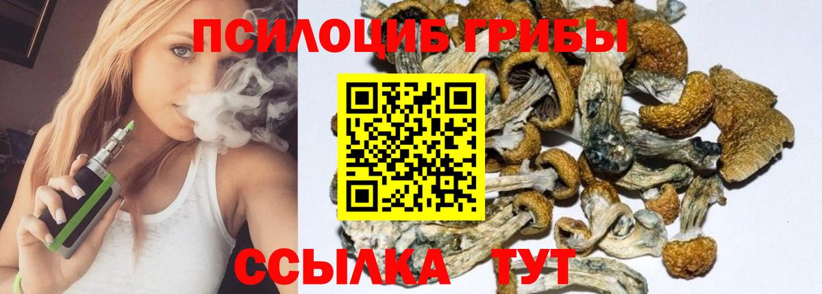 Галлюциногенные грибы Psilocybe Южноуральск